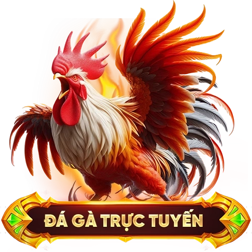 đá gà trực tuyến VN888